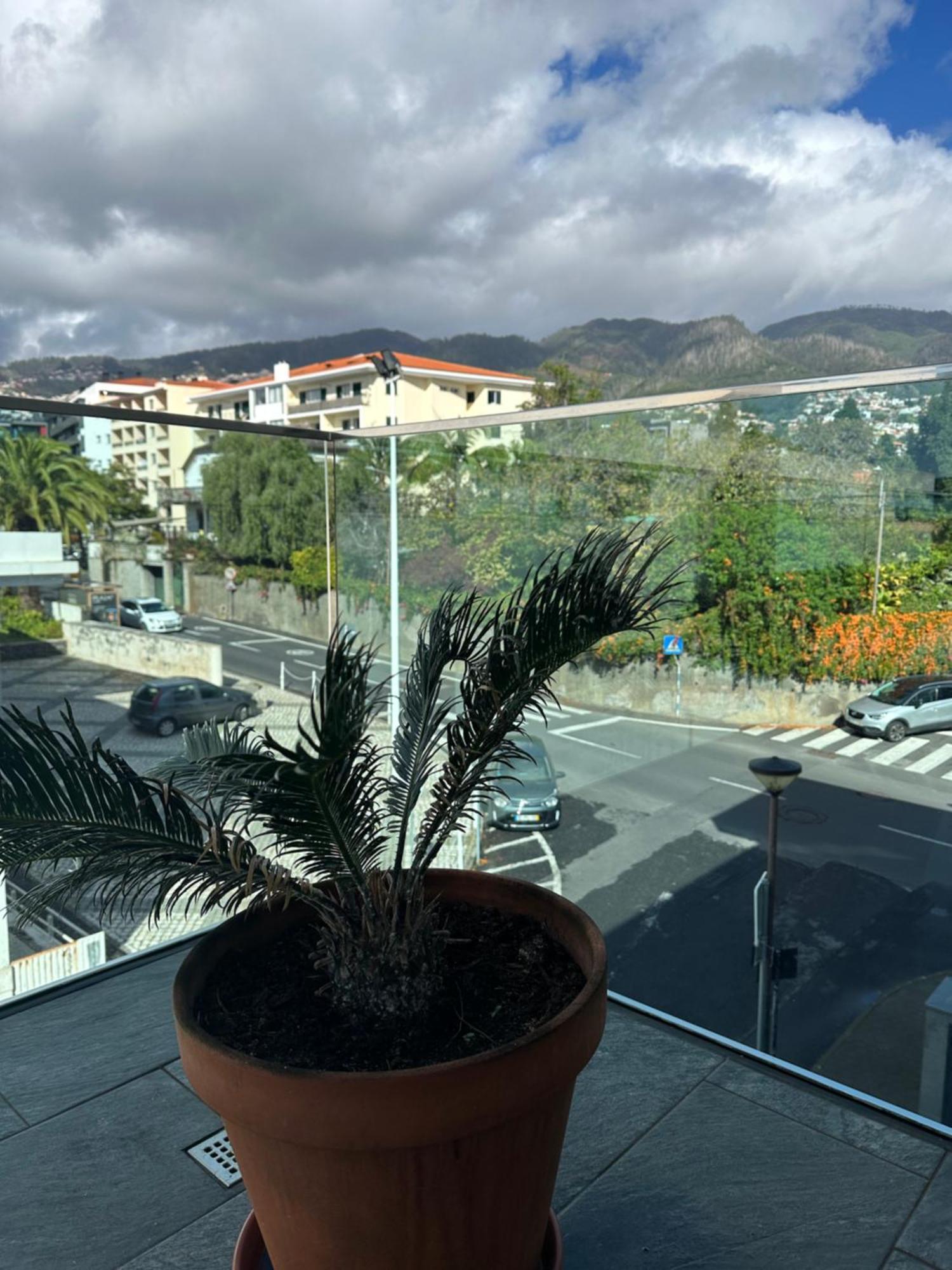 Raphael Funchal Views Apartment מראה חיצוני תמונה
